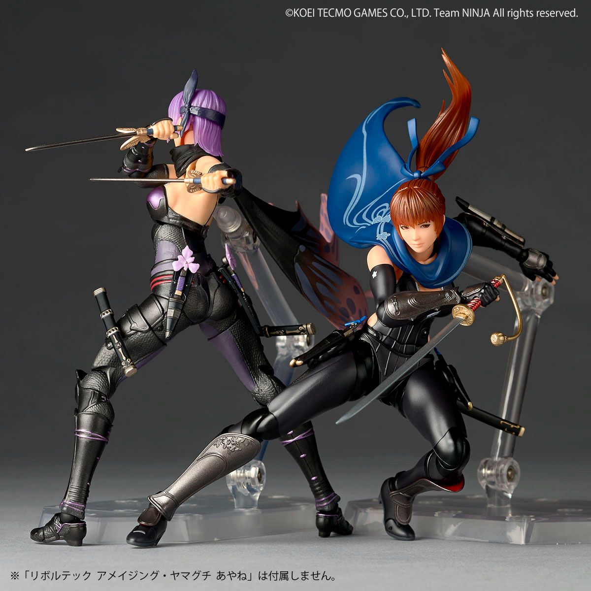 SPECIAL ORDER Kaiyodo - Amazing Yamaguchi - Ninja Gaiden - Kasumi [EXCLUSIVE]