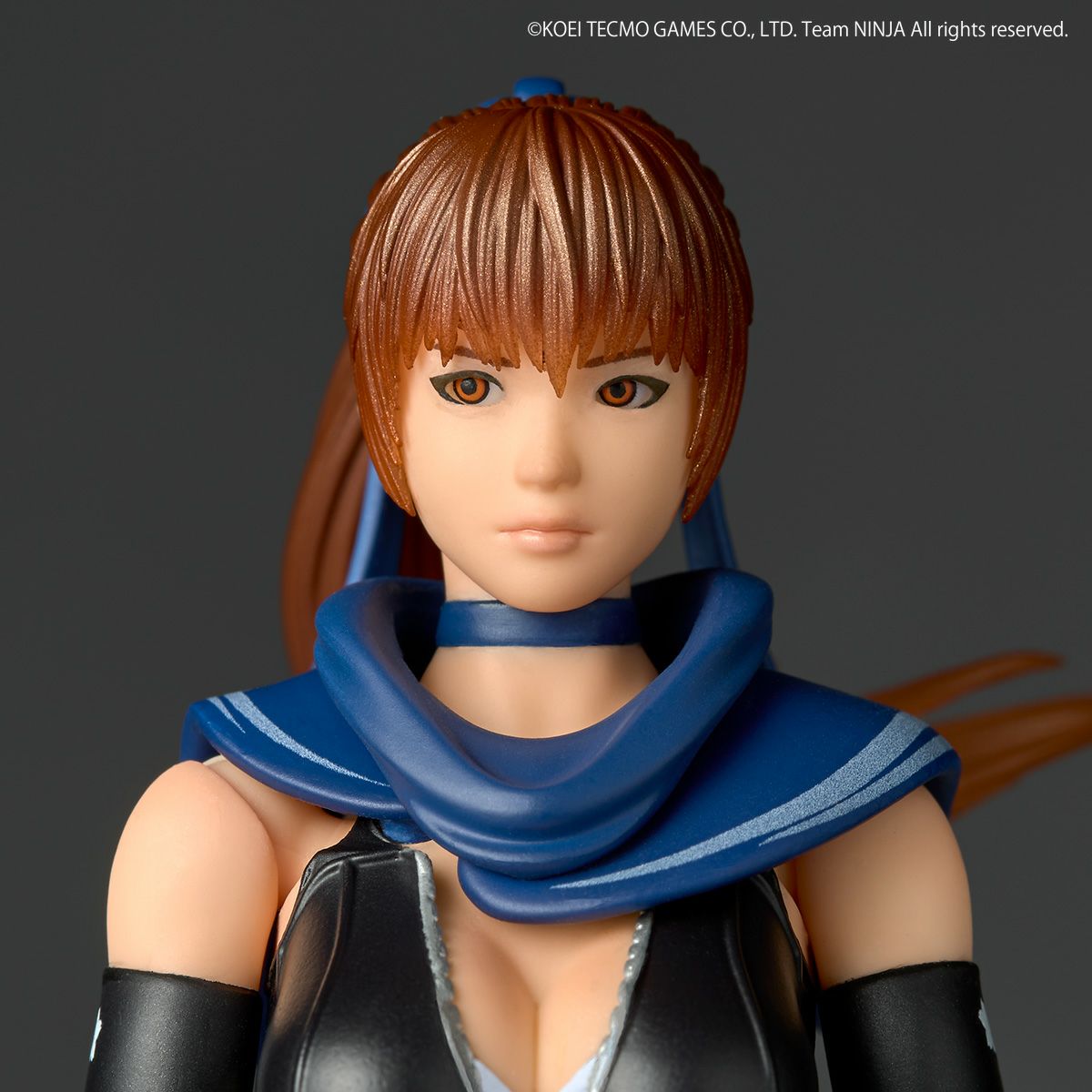 SPECIAL ORDER Kaiyodo - Amazing Yamaguchi - Ninja Gaiden - Kasumi [EXCLUSIVE]