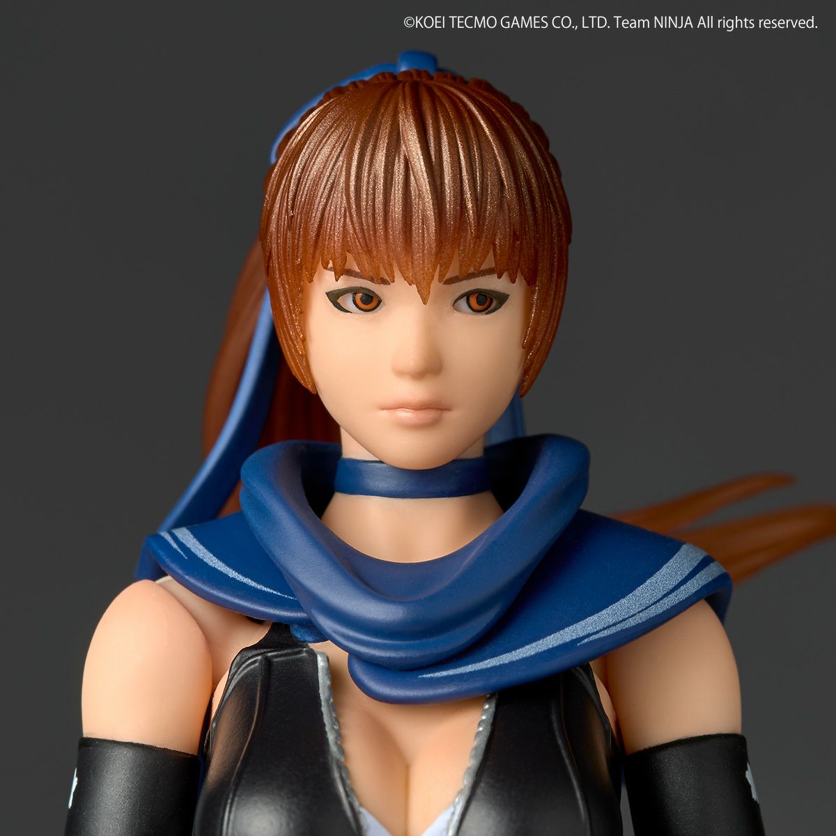 SPECIAL ORDER Kaiyodo - Amazing Yamaguchi - Ninja Gaiden - Kasumi [EXCLUSIVE]