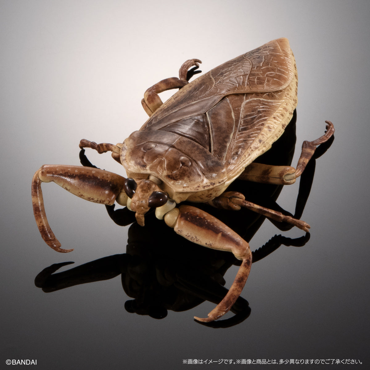 IN-STOCK Bandai - The Diversity of Life on Earth - Aquatic Insect Gian