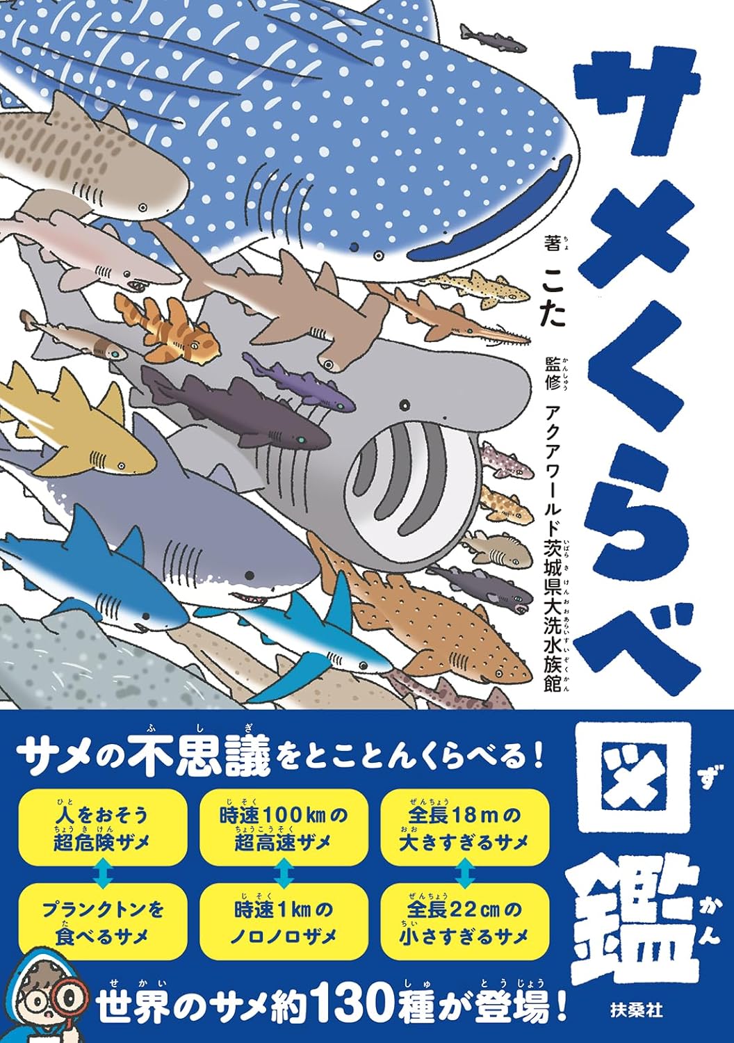 SPECIAL ORDER FUSOSHA - A Shark Comparison Guide [JP]