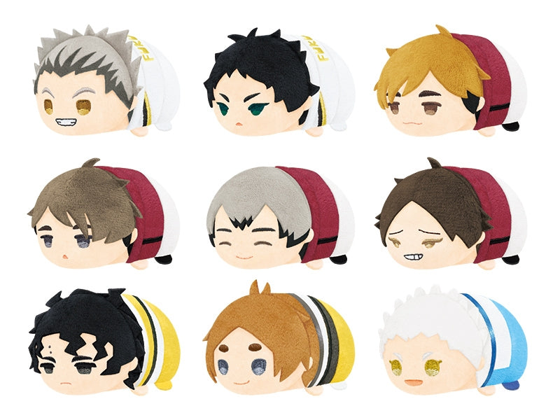 SPECIAL ORDER SK-Japan - Mochimochi Mascot Haikyu!! Vol.5 [Box of 9] [ANIMATE EXCLUSIVE] [April 2025 Release]