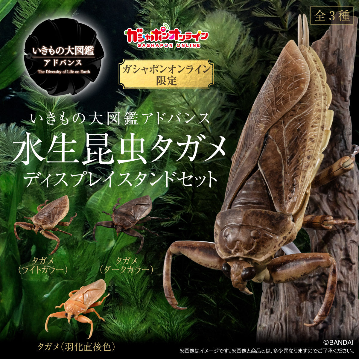 IN-STOCK Bandai - The Diversity of Life on Earth - Aquatic Insect Gian