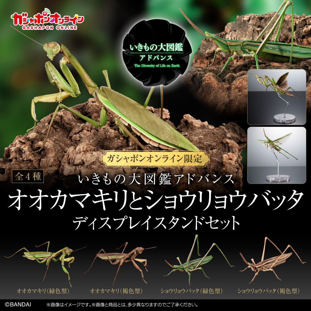 PRE-ORDER Bandai - The Diversity of Life on Earth - Praying Mantis & Oriental Long-headed Grasshopper Display Stand Set