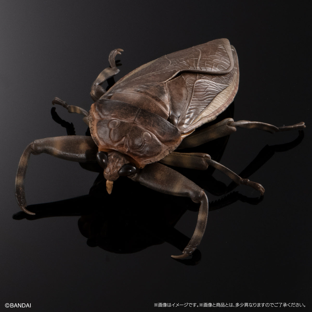 IN-STOCK Bandai - The Diversity of Life on Earth - Aquatic Insect Gian
