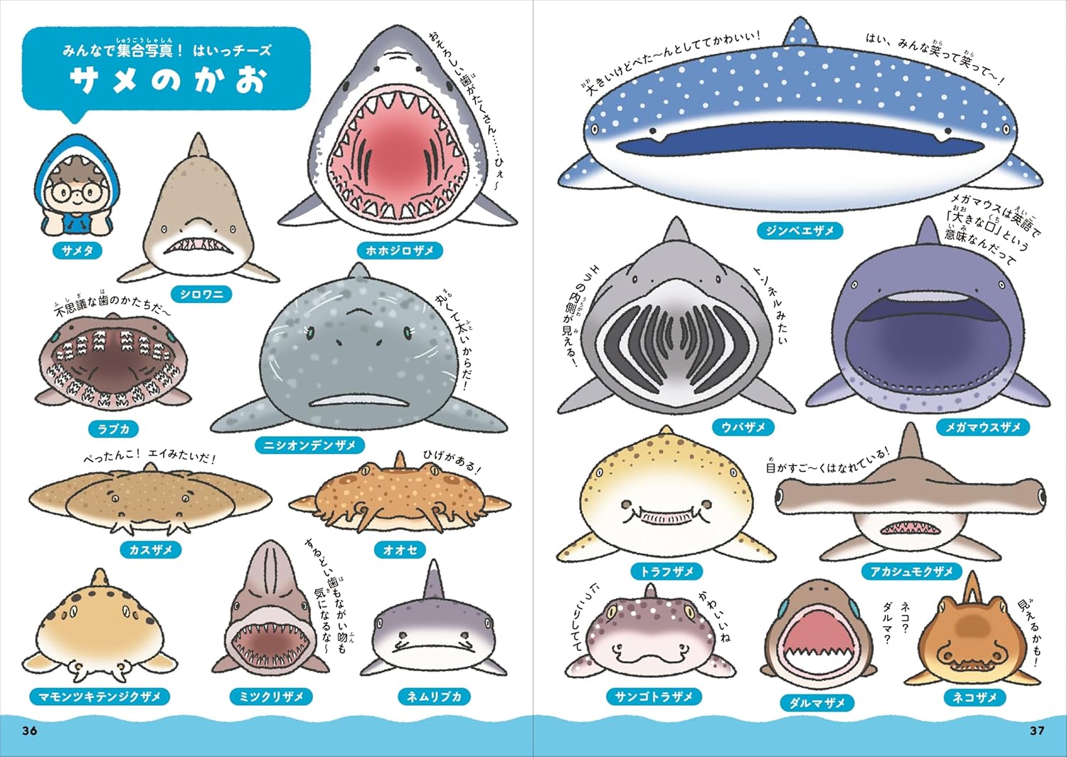 SPECIAL ORDER FUSOSHA - A Shark Comparison Guide [JP]