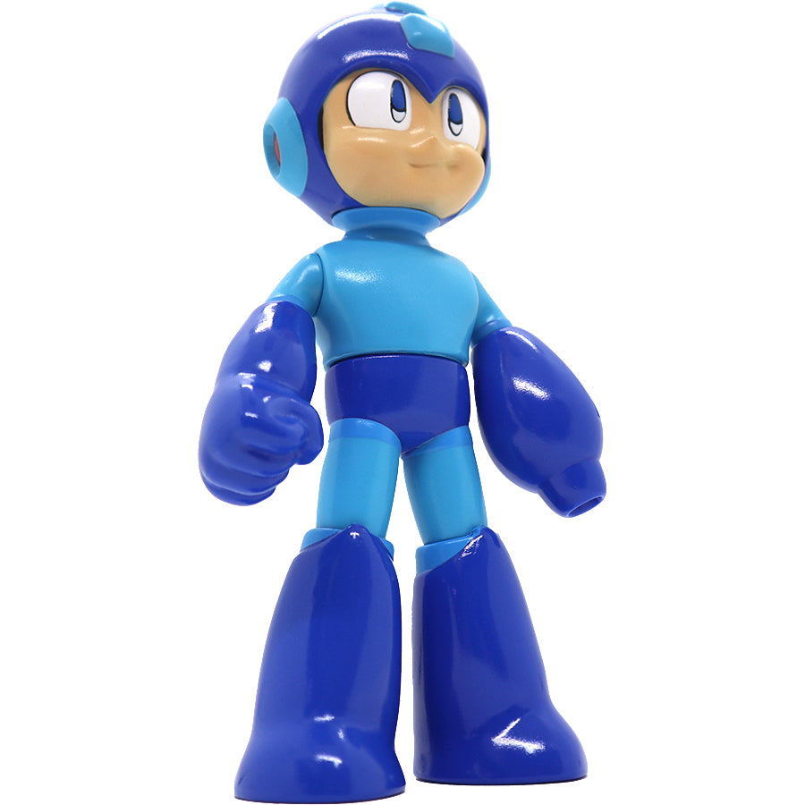 SPECIAL ORDER SOFVIPS Rock Man [JP]