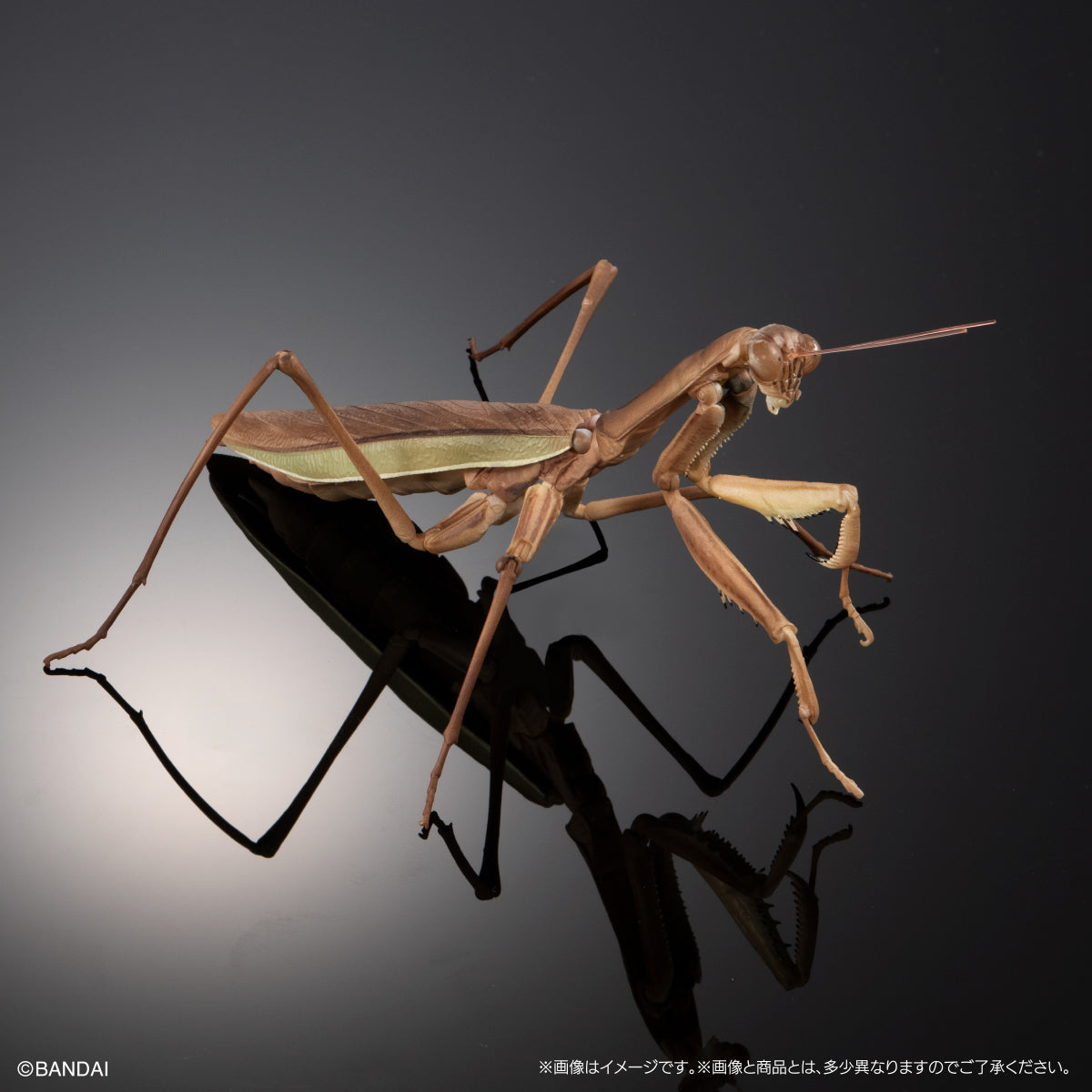 PRE-ORDER Bandai - The Diversity of Life on Earth - Praying Mantis & Oriental Long-headed Grasshopper Display Stand Set