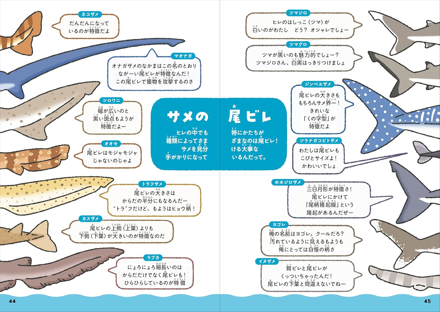 SPECIAL ORDER FUSOSHA - A Shark Comparison Guide [JP]