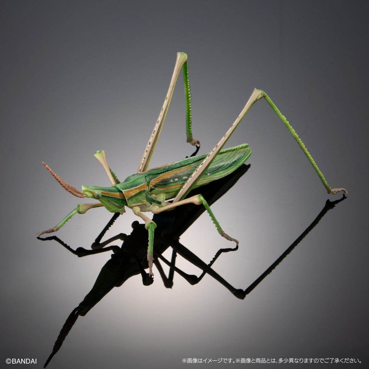 PRE-ORDER Bandai - The Diversity of Life on Earth - Praying Mantis & Oriental Long-headed Grasshopper Display Stand Set