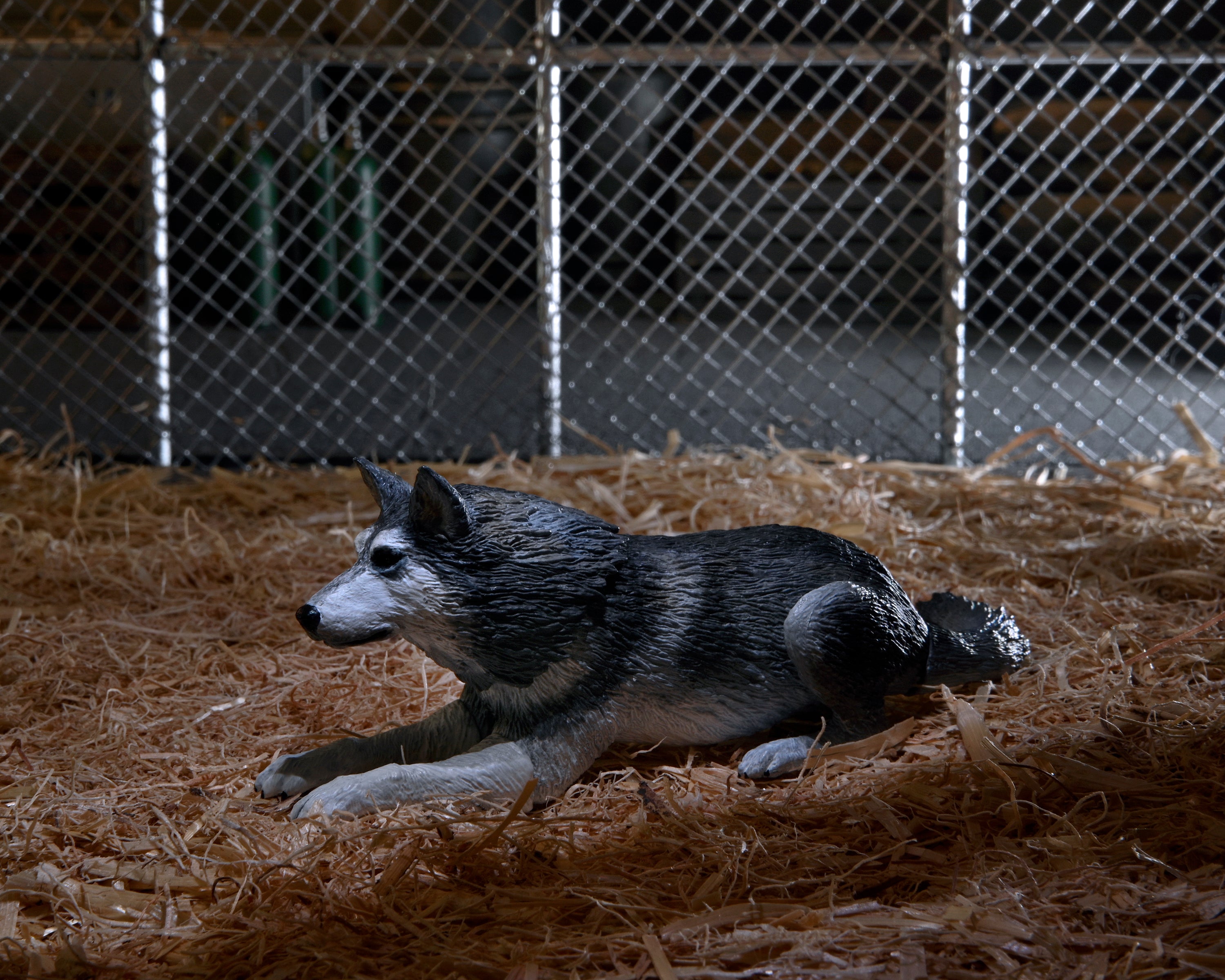 PRE-ORDER 7-inch Action Figure - The Thing - THING Dog Creature Ultimate Deluxe