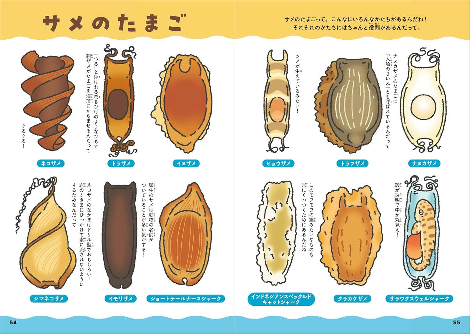SPECIAL ORDER FUSOSHA - A Shark Comparison Guide [JP]