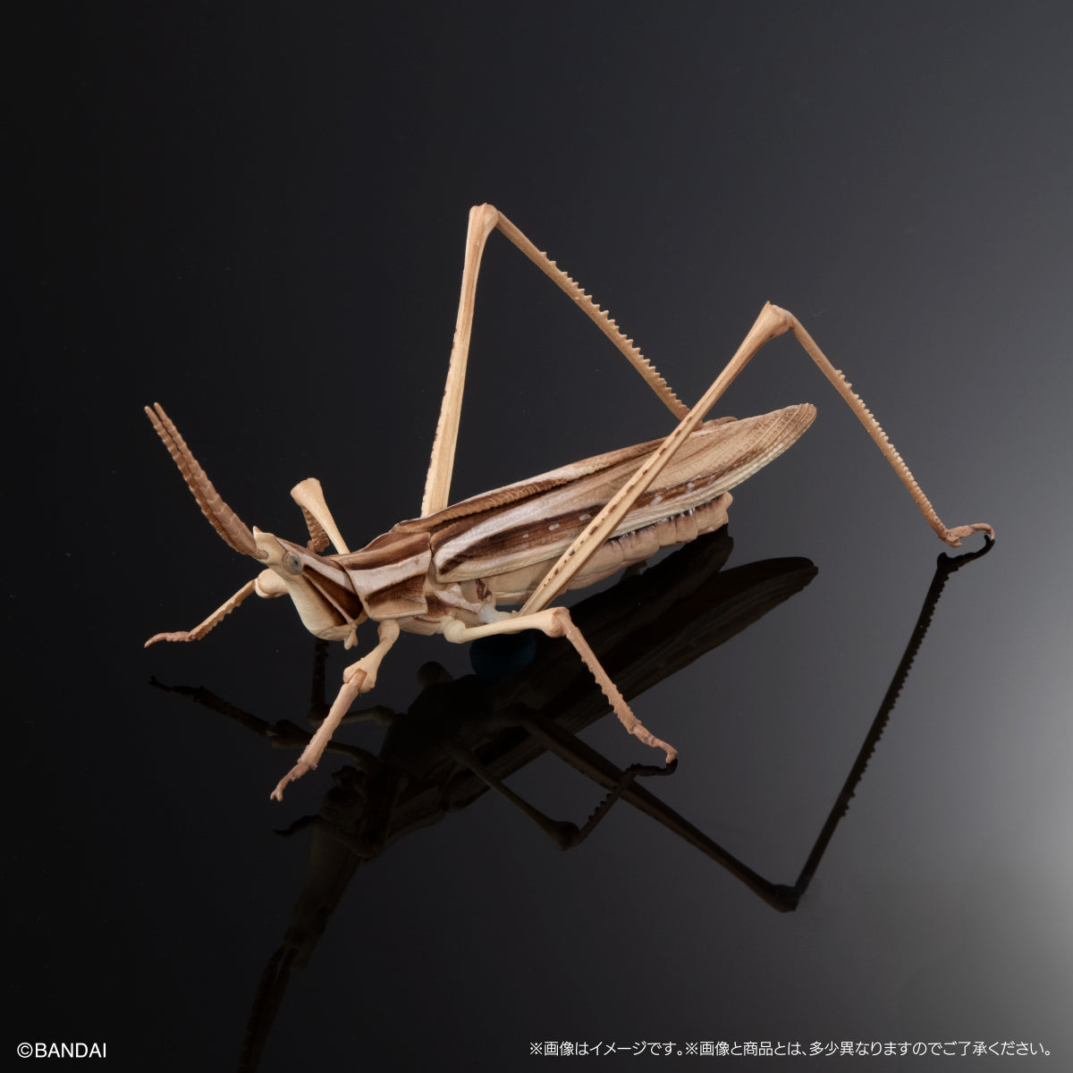PRE-ORDER Bandai - The Diversity of Life on Earth - Praying Mantis & Oriental Long-headed Grasshopper Display Stand Set