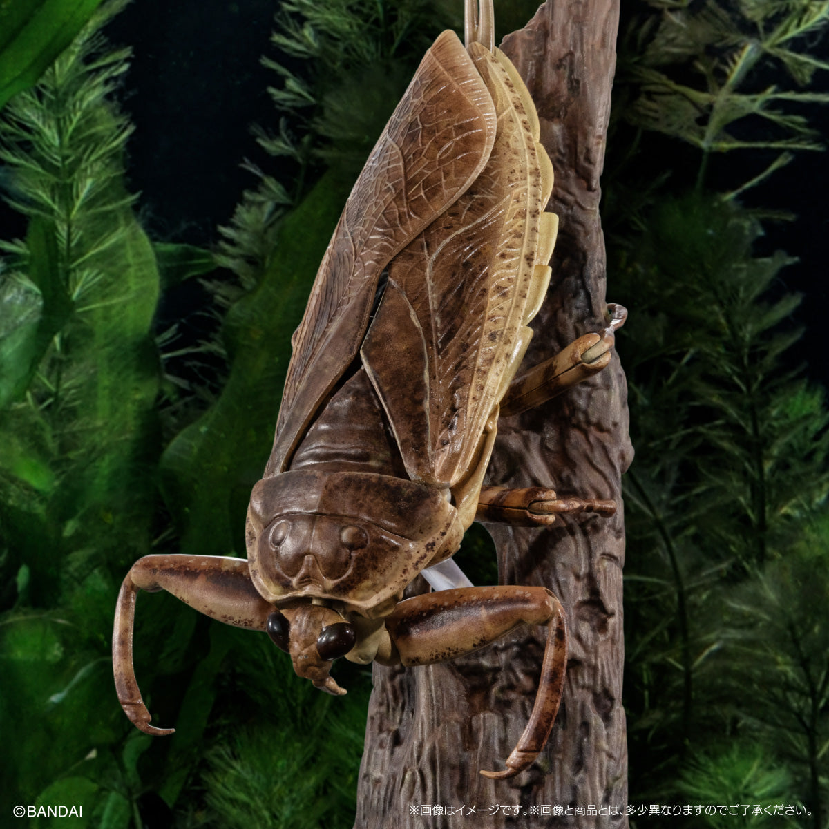 IN-STOCK Bandai - The Diversity of Life on Earth - Aquatic Insect Giant Water Bug Display Stand Set [EXCLUSIVE]