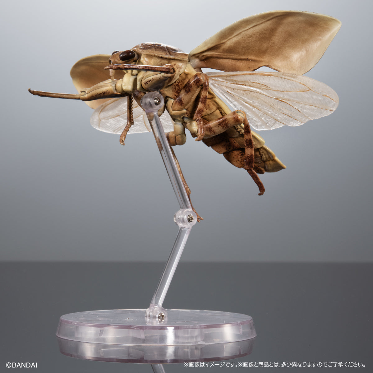 IN-STOCK Bandai - The Diversity of Life on Earth - Aquatic Insect Giant Water Bug Display Stand Set [EXCLUSIVE]