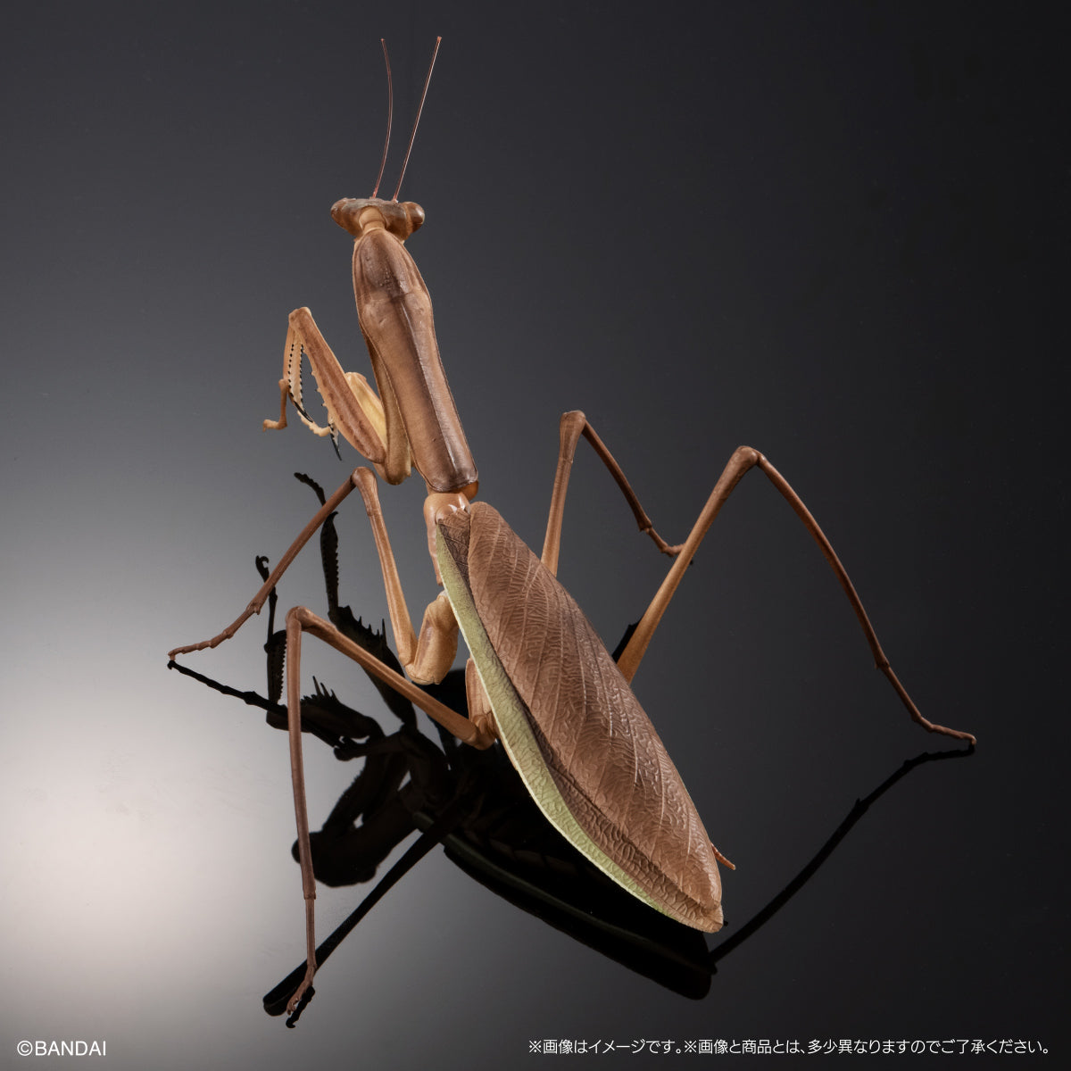 PRE-ORDER Bandai - The Diversity of Life on Earth - Praying Mantis & Oriental Long-headed Grasshopper Display Stand Set
