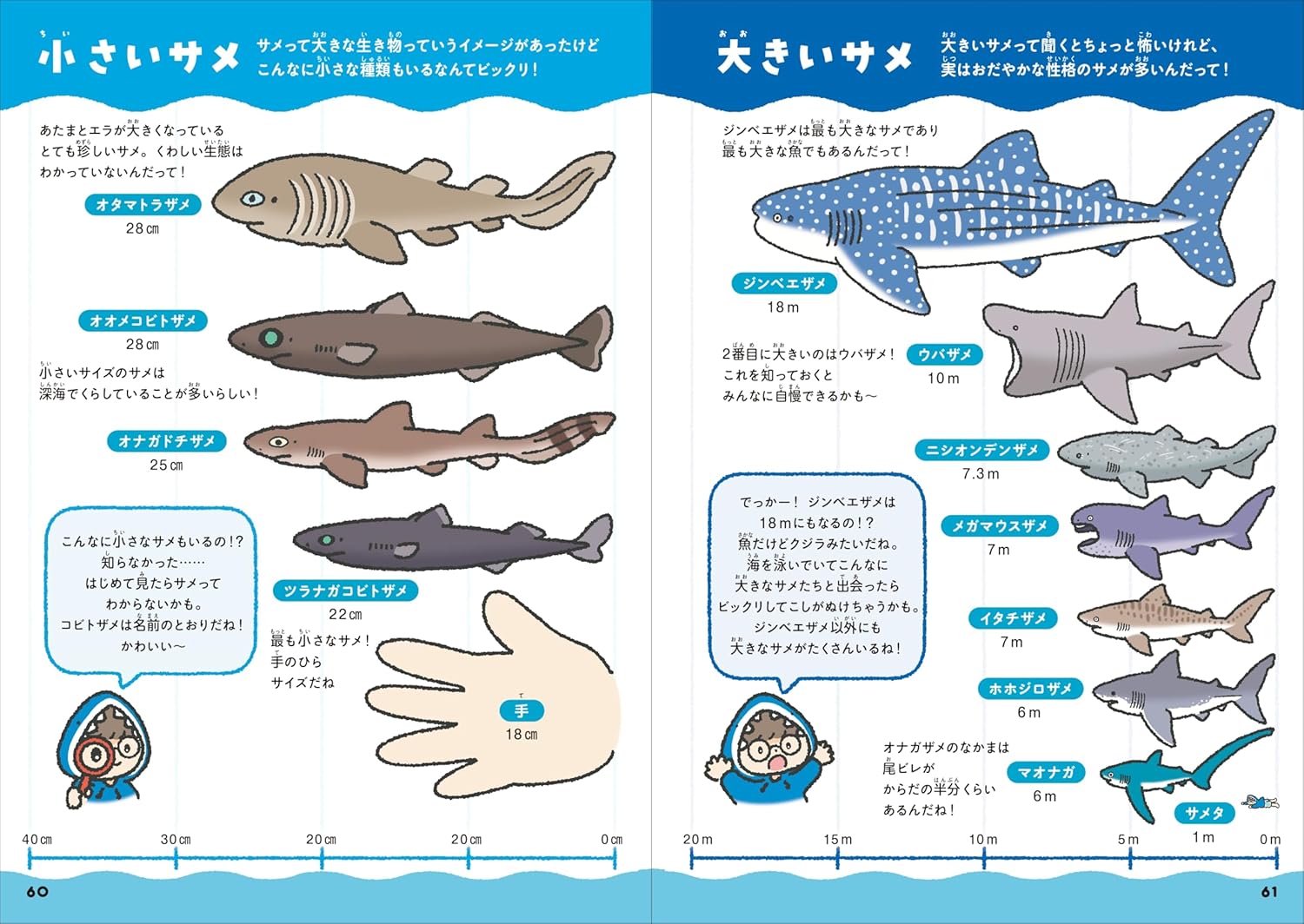 SPECIAL ORDER FUSOSHA - A Shark Comparison Guide [JP]