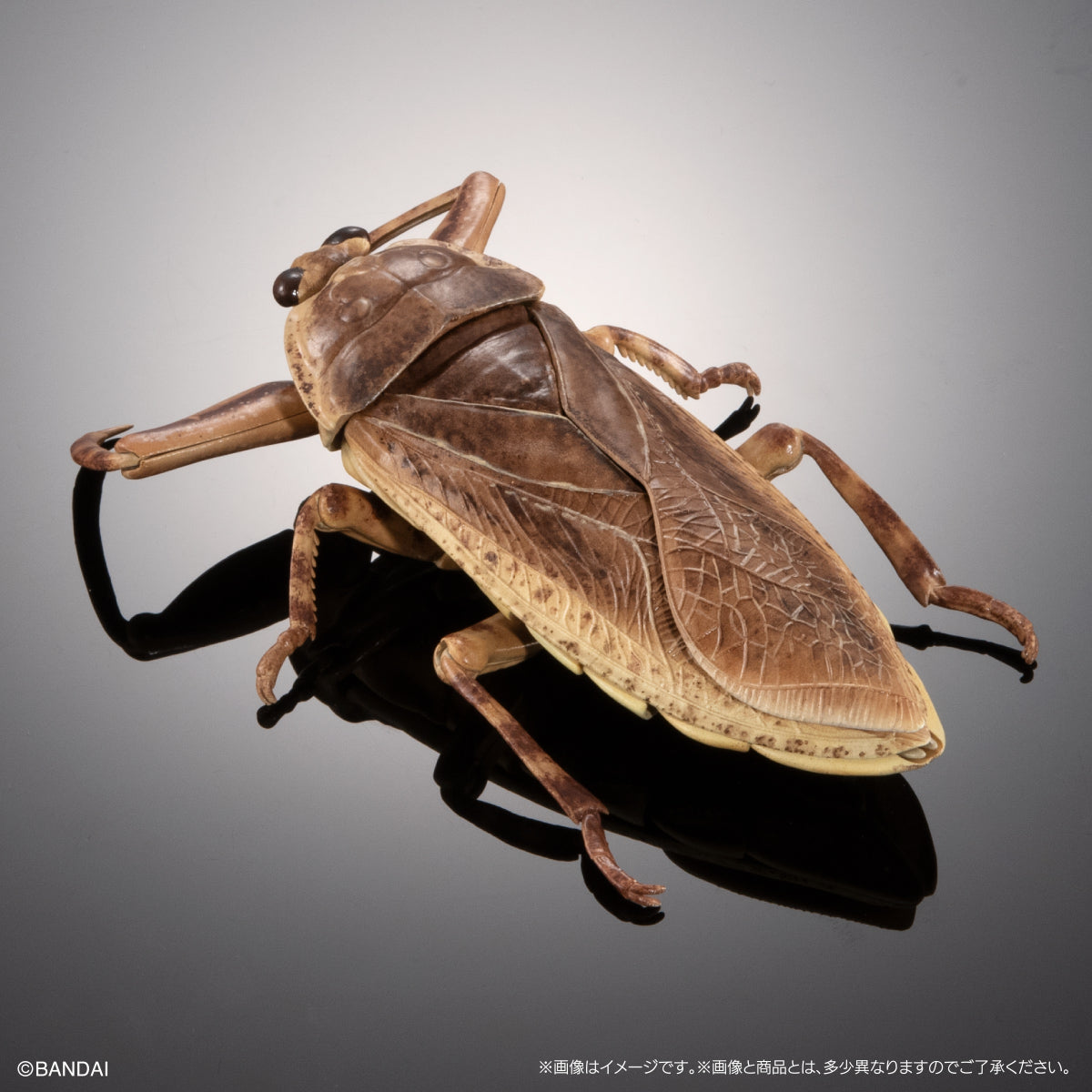 IN-STOCK Bandai - The Diversity of Life on Earth - Aquatic Insect Giant Water Bug Display Stand Set [EXCLUSIVE]