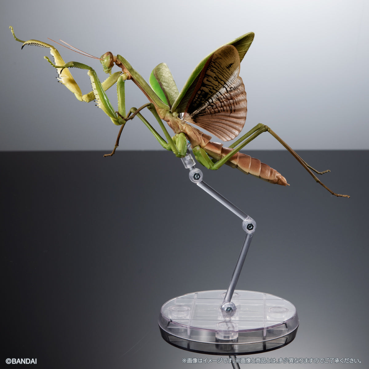 PRE-ORDER Bandai - The Diversity of Life on Earth - Praying Mantis & Oriental Long-headed Grasshopper Display Stand Set