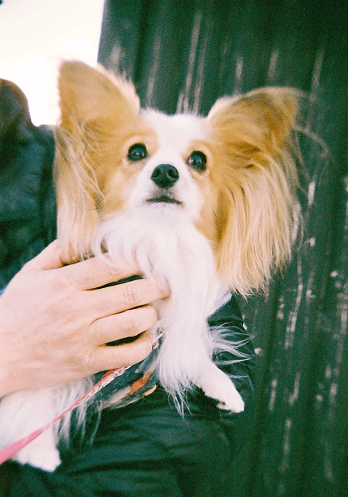 BACK-ORDER Takarajimasha - Otona no Kagaku Magazine BESTSELECTION02 Twin-lens reflex camera [JP]