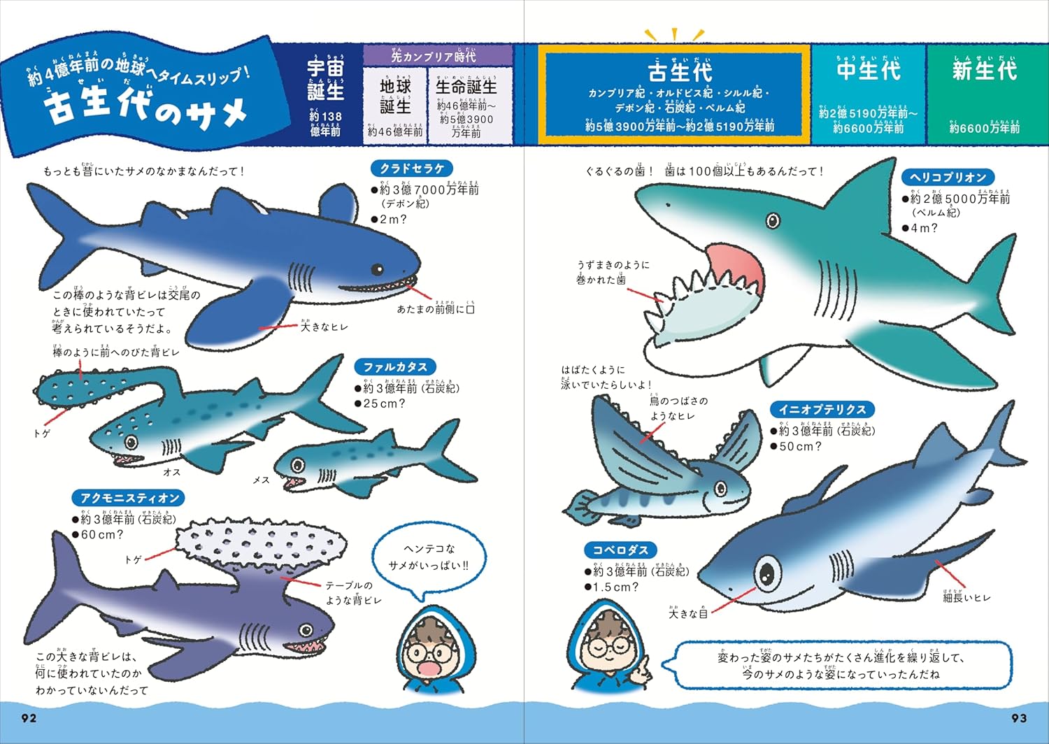 SPECIAL ORDER FUSOSHA - A Shark Comparison Guide [JP]