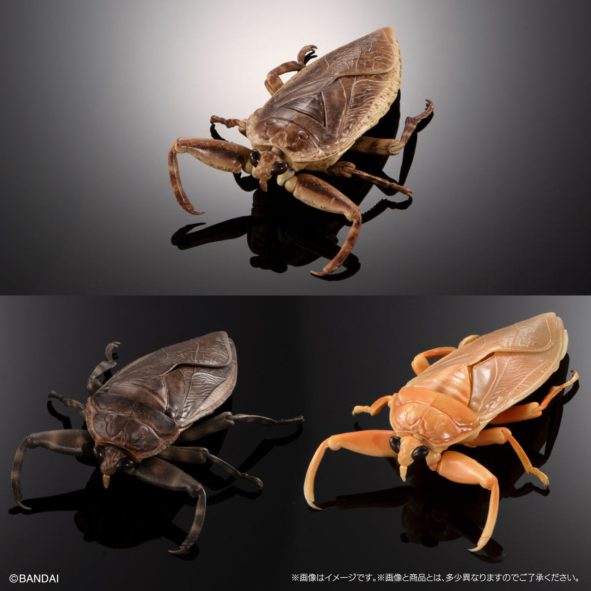 IN-STOCK Bandai - The Diversity of Life on Earth - Aquatic Insect Giant Water Bug Display Stand Set [EXCLUSIVE]