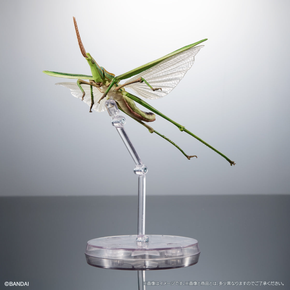 PRE-ORDER Bandai - The Diversity of Life on Earth - Praying Mantis & Oriental Long-headed Grasshopper Display Stand Set