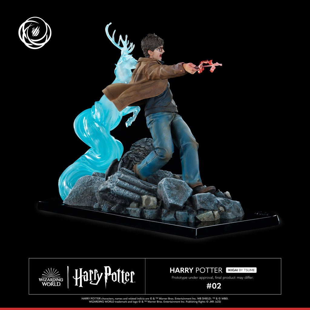 PRE-ORDER Ikigai - Harry Potter - Harry Potter 1/6
