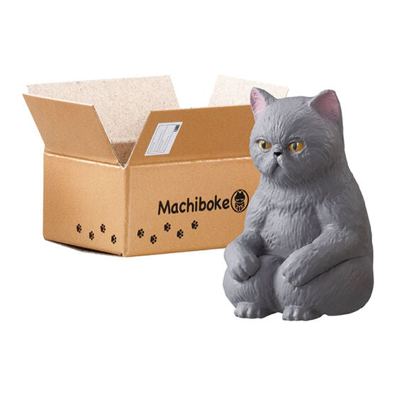 BACK-ORDER Bandai - Machiboke Neko [Set of 5]