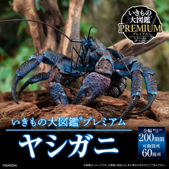 PRE-ORDER The Diversity of Life on Earth Premium - Coconut Crab [EXCLUSIVE]