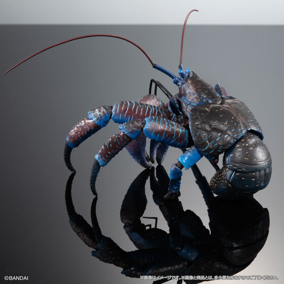 PRE-ORDER The Diversity of Life on Earth Premium - Coconut Crab [EXCLUSIVE]