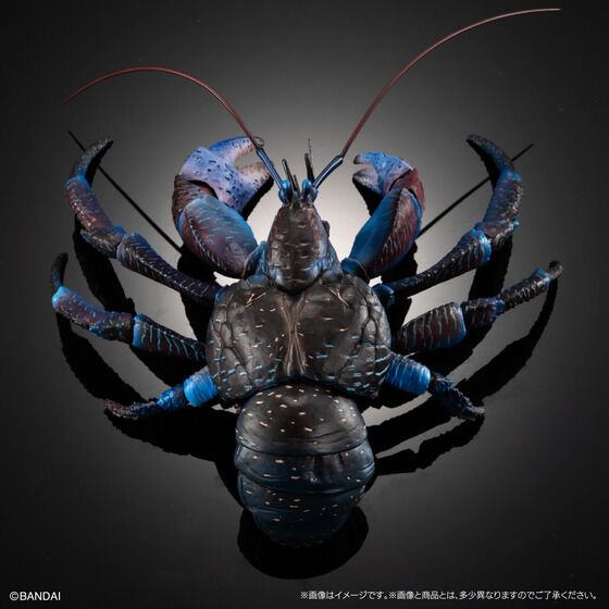 PRE-ORDER The Diversity of Life on Earth Premium - Coconut Crab [EXCLUSIVE]