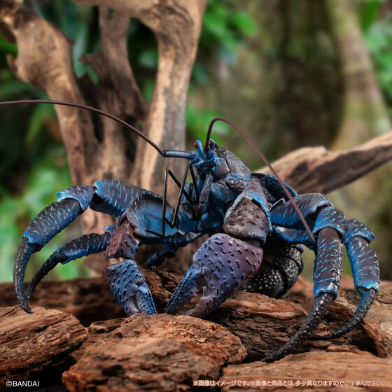 PRE-ORDER The Diversity of Life on Earth Premium - Coconut Crab [EXCLUSIVE]