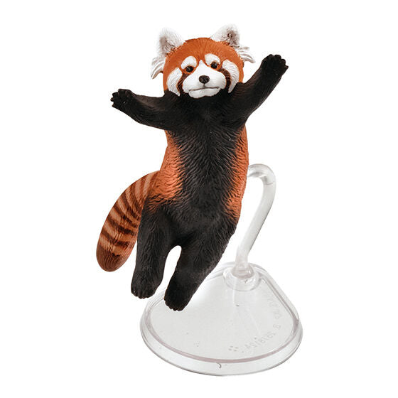 IN-STOCK Bandai - Happy Jump Animal