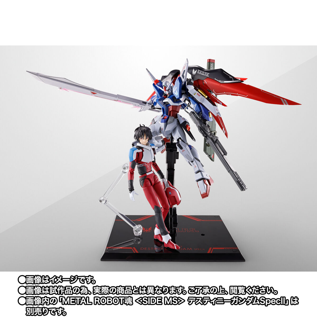 SPECIAL ORDER Bandai - S.H.Figuarts - Mobile Suit Gundam SEED FREEDOM - Shinn Asuka [EXCLUSIVE] [JP]
