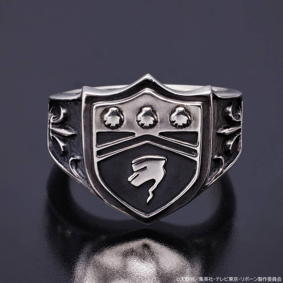 SPECIAL ORDER Bandai - Katekyo Hitman Reborn! - Vongola Ring - Storm R