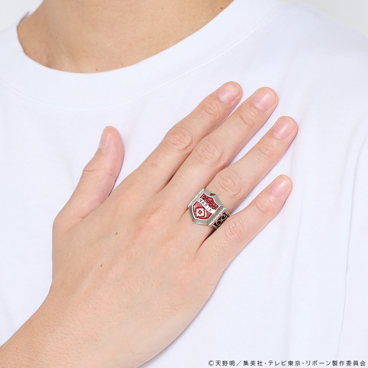 SPECIAL ORDER Bandai - Katekyo Hitman Reborn! - Varia Ring [EXCLUSIVE] [JP]