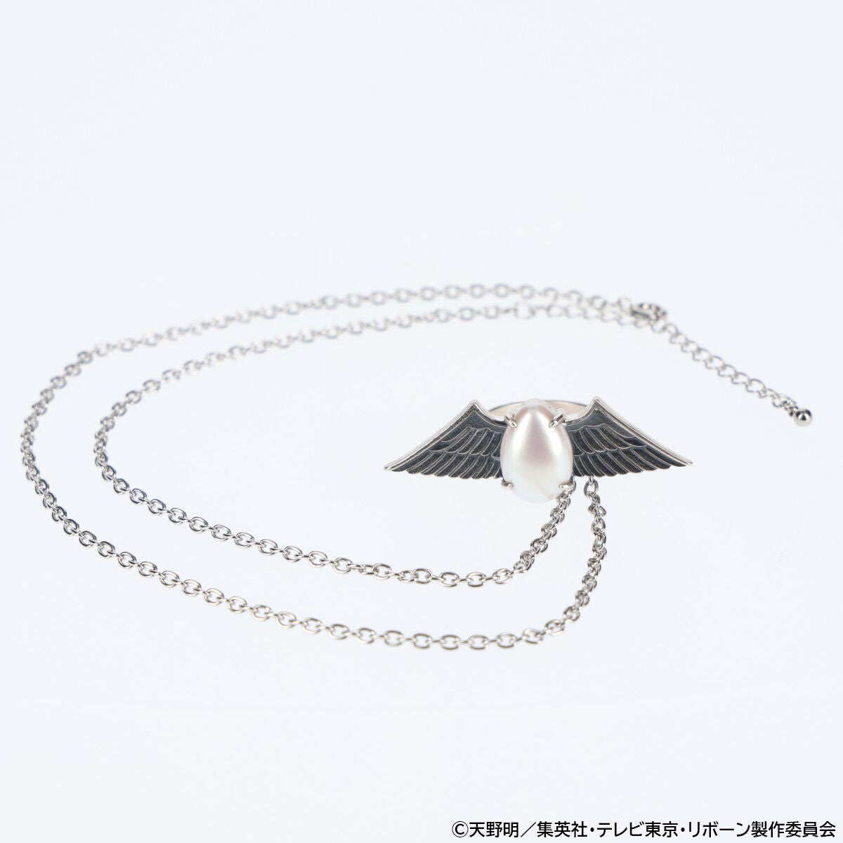 SPECIAL ORDER Bandai - Katekyo Hitman REBORN! Male Ring [JP]