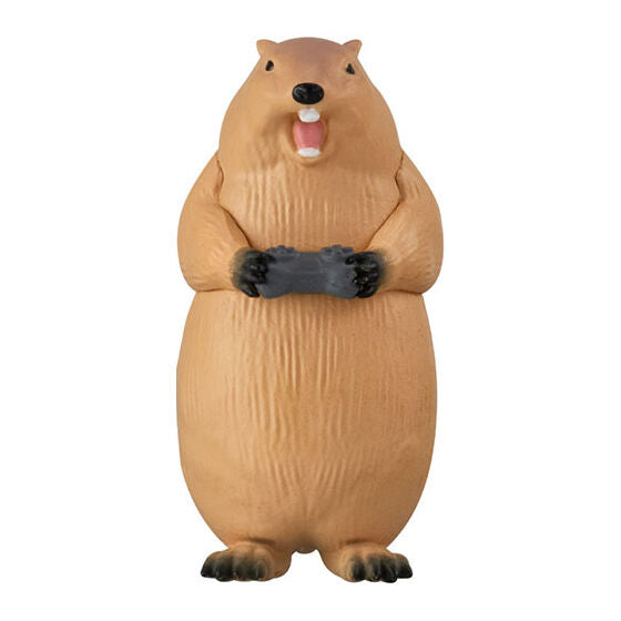 IN-STOCK Bandai - Animal Gamer