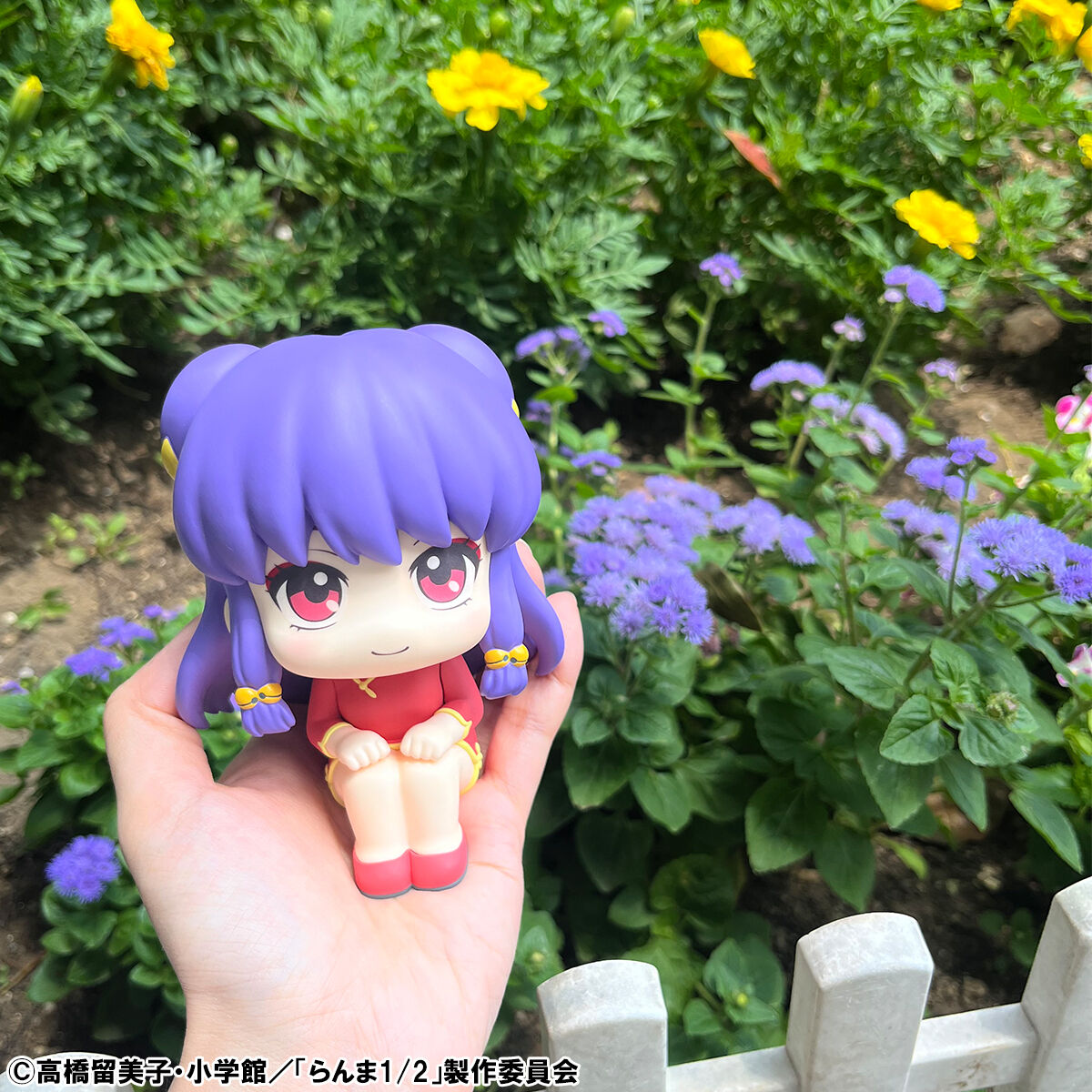 PRE-ORDER MegaHouse - Look Up - TV Anime Ranma 1/2 - Ranma & Shampoo Set [EXCLUSIVE]