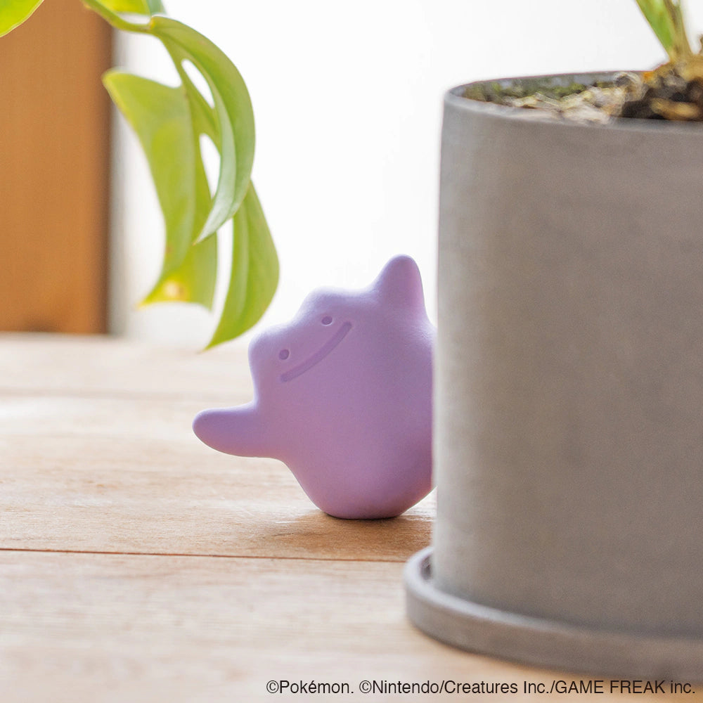 BACK-ORDER Koncent - CAOMARU - Pokémon - Ditto (Metamon) [JP]