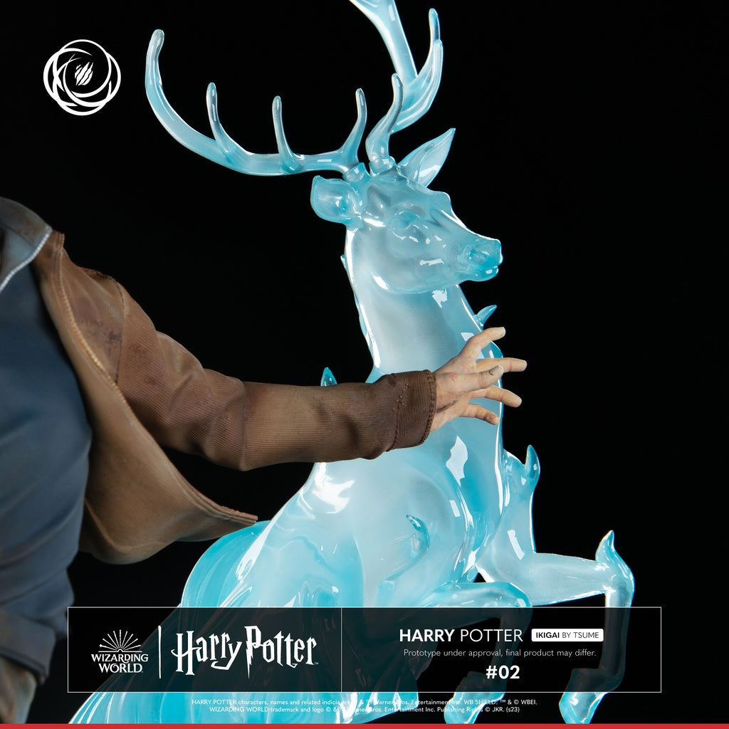 PRE-ORDER Ikigai - Harry Potter - Harry Potter 1/6