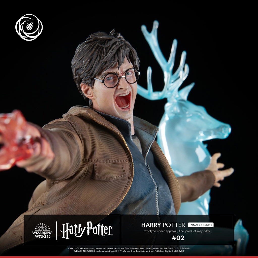 PRE-ORDER Ikigai - Harry Potter - Harry Potter 1/6