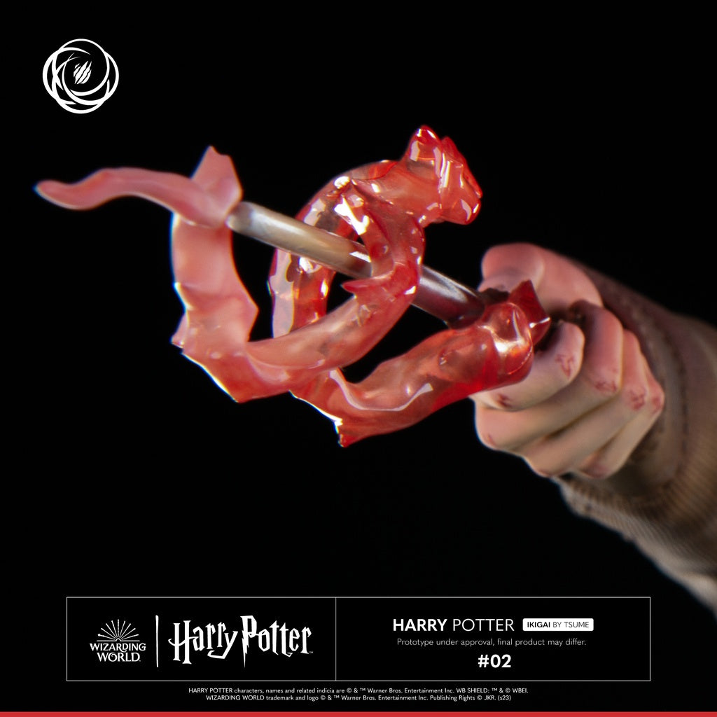 PRE-ORDER Ikigai - Harry Potter - Harry Potter 1/6