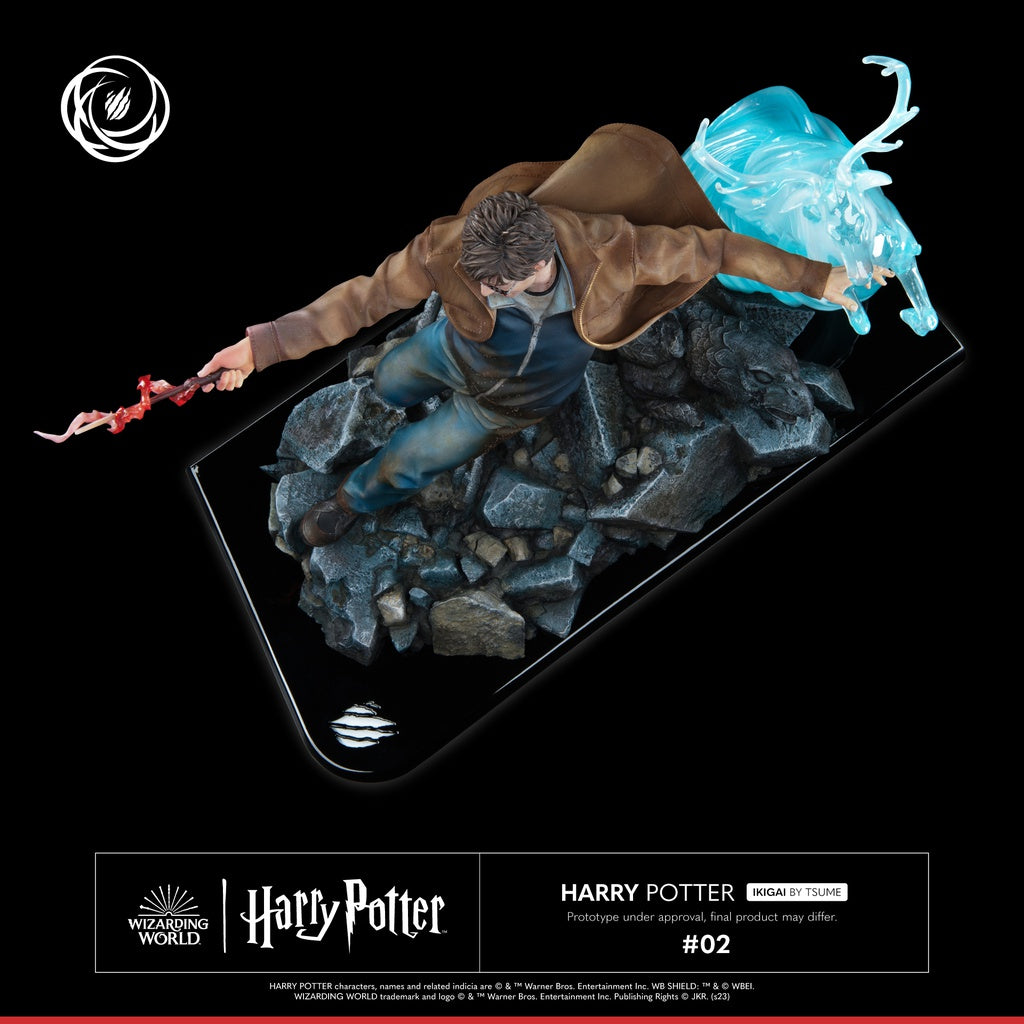 PRE-ORDER Ikigai - Harry Potter - Harry Potter 1/6
