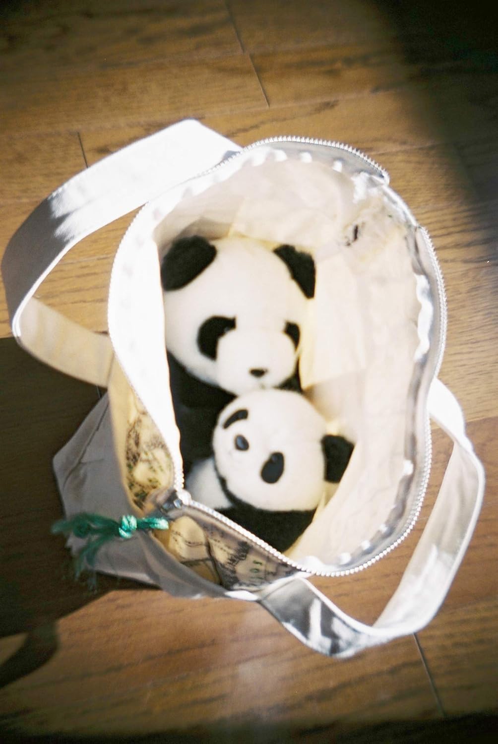 BACK-ORDER Takarajimasha - Otona no Kagaku Magazine BESTSELECTION02 Twin-lens reflex camera [JP]