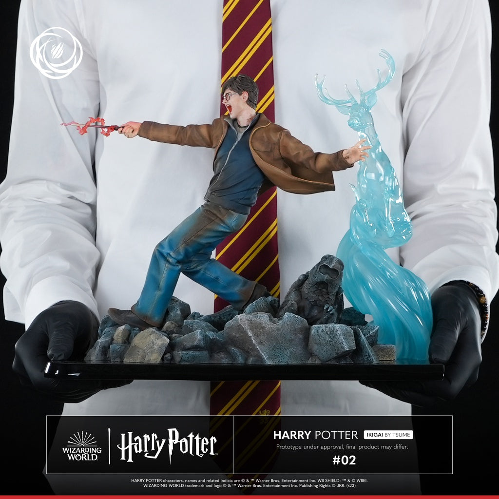 PRE-ORDER Ikigai - Harry Potter - Harry Potter 1/6