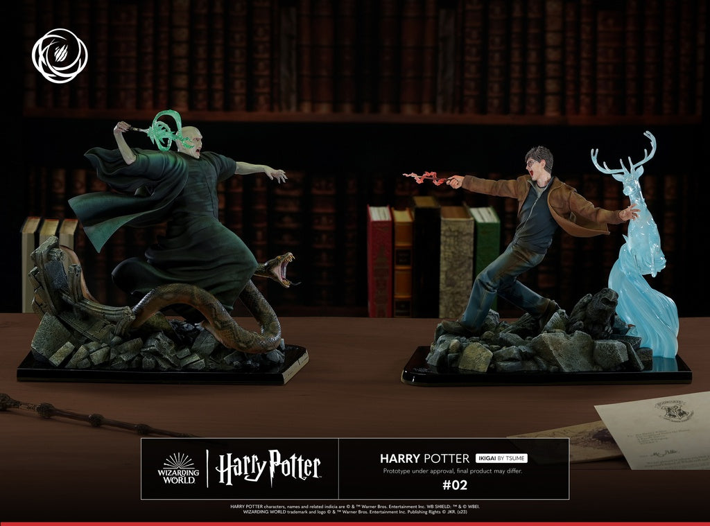 PRE-ORDER Ikigai - Harry Potter - Harry Potter 1/6