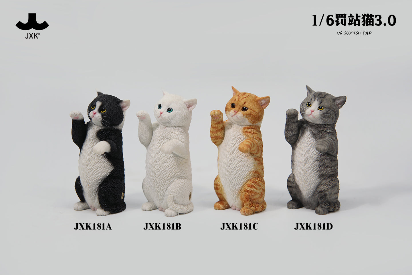 PRE-ORDER JXK - Scottish Fold 3.0: C 1/6