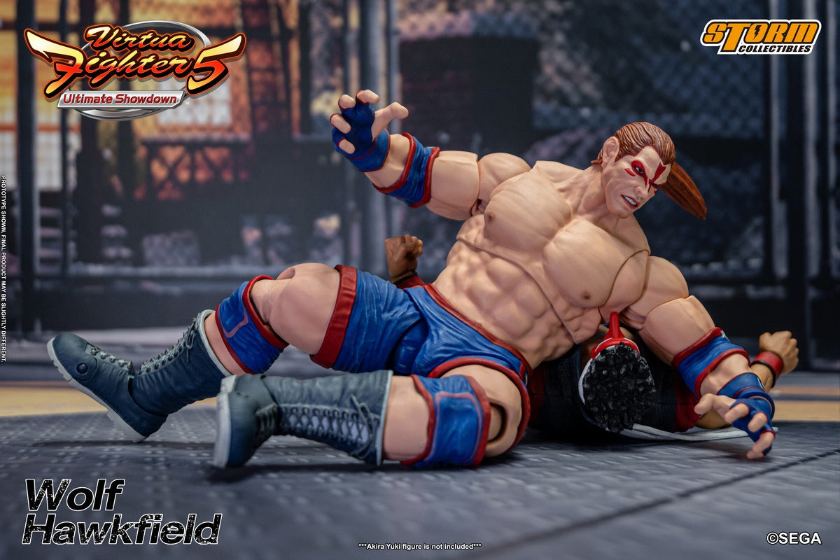 PRE-ORDER Virtua Fighter 5: Ultimate Showdown - Wolf Hawkfield